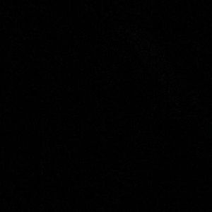 Meet your Posher, Tanisha